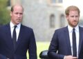 Prince William 'furious' over Prince Harry’s royal money ties: Source