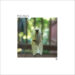 Stereogum home