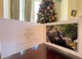 Royal Christmas cards 2025: Princess Anne is the latest royal to offer a glimpse of her 2025 Christmas card, along with King Charles and Queen Camilla, Prince Albert and Princess Charlene of Monaco, and more