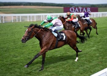 Royal Scotsman to Stand at Genesis Green Stud