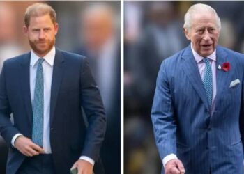 Insiders uncovered what really went down during Prince Harry's reunion with King Charles.MEGA