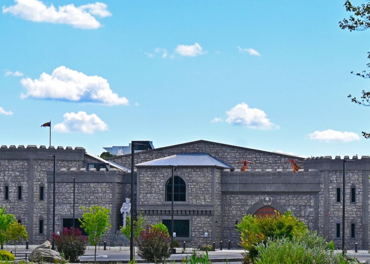 Silver Stone Castle family entertainment center opens to guests