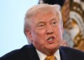 'The Daily Show' Roasts Trump Over A Yule Log – For 1 Particular Habit