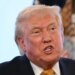 'The Daily Show' Roasts Trump Over A Yule Log – For 1 Particular Habit