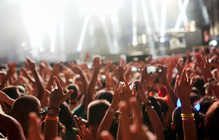 A crowd of people at a concert