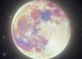 The New Moon In Sagittarius 2025 Horoscope Is Here