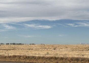The geography of grief, from Louisiana across Texas: Risher | Entertainment/Life