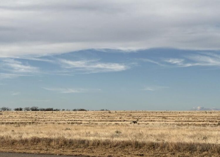 The geography of grief, from Louisiana across Texas: Risher | Entertainment/Life
