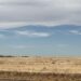 The geography of grief, from Louisiana across Texas: Risher | Entertainment/Life