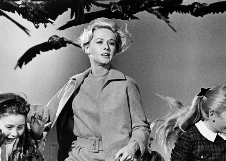 The most troubling filming conditions in classic Hollywood — and why stars spoke out