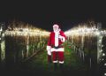 The W&ouml;lffer Estate Lighting of the Vines
