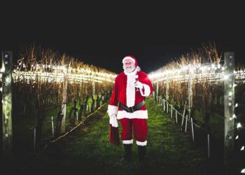 The W&ouml;lffer Estate Lighting of the Vines