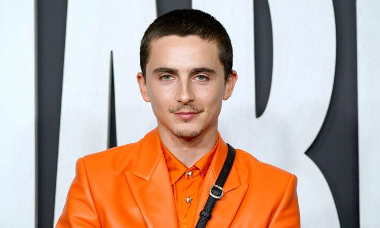 Timothée Chalamet won’t confirm or deny rumors he’s mysterious British rapper EsDeeKid