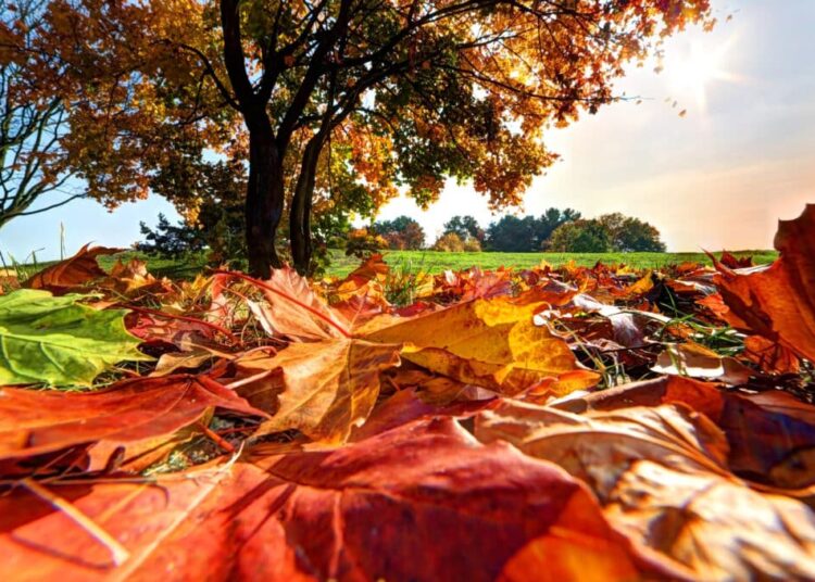 Vicksburg has plenty to offer for October entertainment