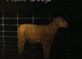 Stereogum home