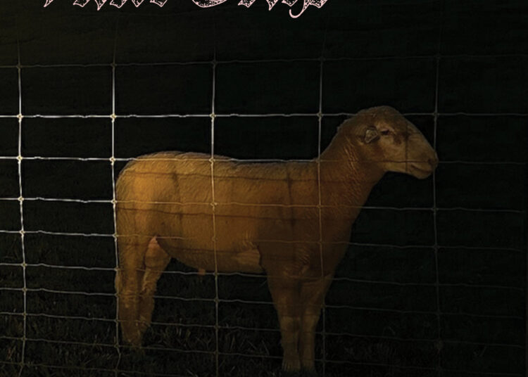 Stereogum home