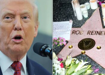 Watch Fox News Host's Wild Spin On Donald Trump's Rob Reiner Takedown