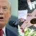 Watch Fox News Host's Wild Spin On Donald Trump's Rob Reiner Takedown