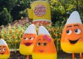 Which theme park fits your family trip?