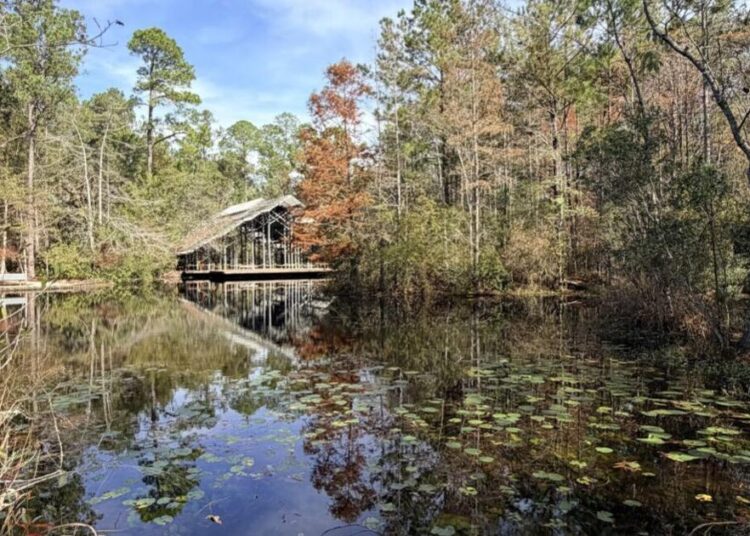Why you should visit Crosby Arboretum nature trail in MS | Entertainment/Life