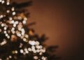 The Yuletide at the Village offers holiday shopping, food trucks, live entertainment, and a Giving ...
