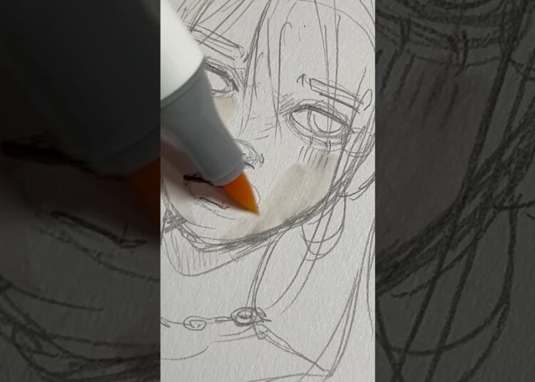what else should I draw? || sanjoki alcohol marker review #art