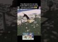 Dog is a musician🥹 #fyp #viral #animals #dogs #dog #music #aww #cute #funny #fypシ #shorts #yt #lol