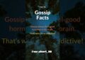 gossips facts brain feel like good #quotes #facts #psychology