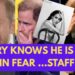 HARRY KNOWS HE IS NEXT ..TERRIFIED #royal #meghan #princeharry