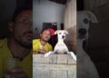 os fofoqueirinhos estão de volta segue e compartilha 😜#shorts