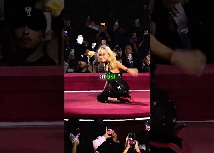 Fans Throwing Random Stuff at Artists on Stage 😳