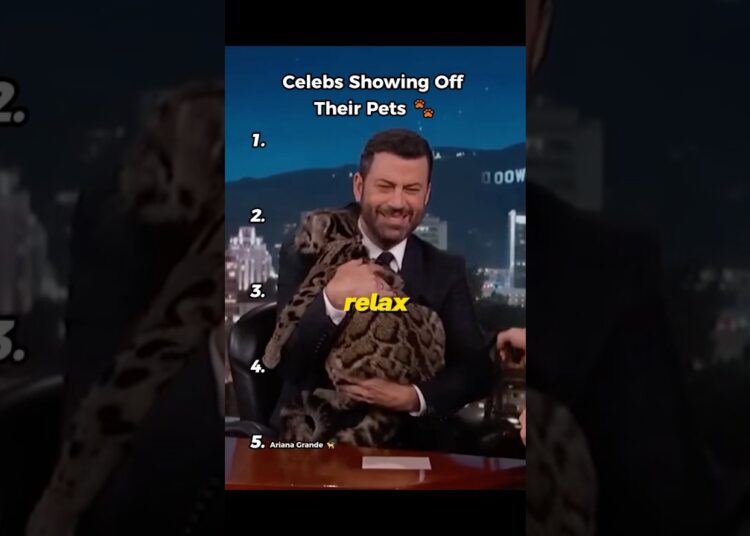 Celebrities Being Total Pet Parents #shorts #celebrity #pets #ranking #funny #viral