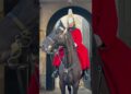 Royal Majesty: The King’s Life Guard on Regal Horses 🐴👑🇬🇧 #ShortsFeed