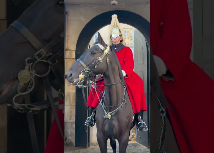 Royal Majesty: The King’s Life Guard on Regal Horses 🐴👑🇬🇧 #ShortsFeed