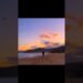 Aditya Rikhari – Paaro 🥺💔 #song #lyrics #shorts #paaro #aesthetic #viralvideo #trending #hindisong