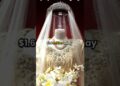 Most expensive Royal wedding dress 🤯 #royalfamily #queenelizabeth #queen #royal #usa #nyc #royalty
