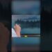 How To Paint Reflections with Bob Ross #art #artist #painting