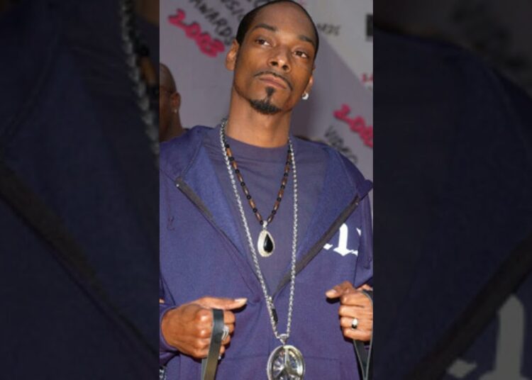 From Courtroom Drama to Rap Royalty, Snoop Dogg’s shocking rise #shorts#celebrity#rappersnoopdogg