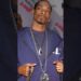 From Courtroom Drama to Rap Royalty, Snoop Dogg’s shocking rise #shorts#celebrity#rappersnoopdogg