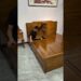 पापा बिस्तर के अंदर घुस गए🥵 ll Carriage House wooden artist ll #cartoon #shortvideoshortvideo