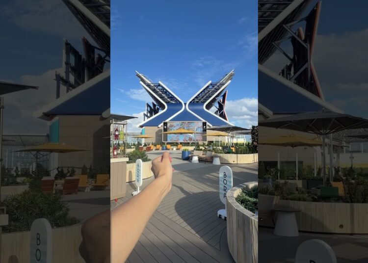 Make any space your happy place on Celebrity Xcel ✨🚢 #CelebrityXcel #XcelSpaces #CruiseVibes