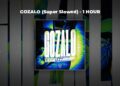 [1 HOUR PHONK] Ariis – GOZALO (Super Slowed)