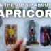 CAPRICORN ♑ – What’s the Gossip Behind Your Back? 👀 Tarot Reading Unfiltered
