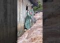 मम्मी नदी में गिर गई🥵 ll Carriage House wooden artist ll #cartoon #shortvideoshortvideo