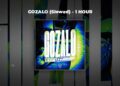 [1 HOUR PHONK] Ariis – GOZALO (Slowed)