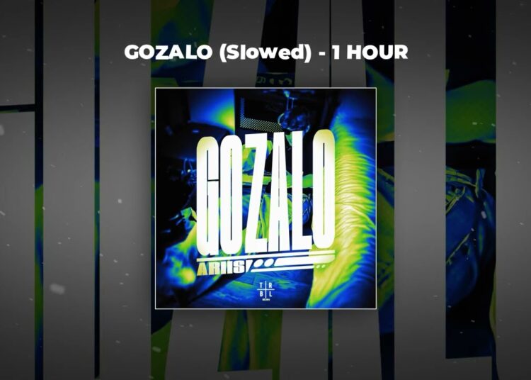 [1 HOUR PHONK] Ariis – GOZALO (Slowed)