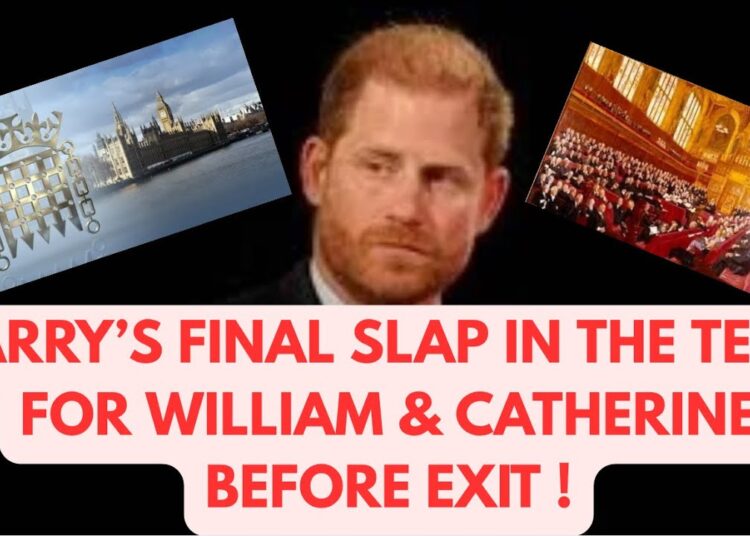 HARRY’S SLAP IN THE TEETH AGAINST WILLIAM & ROYALS #royal #meghan #princeharry