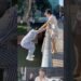 Did he jump down?  #music #love #song #korean #trump #couple #dothingsyoudontwanttodo #japan