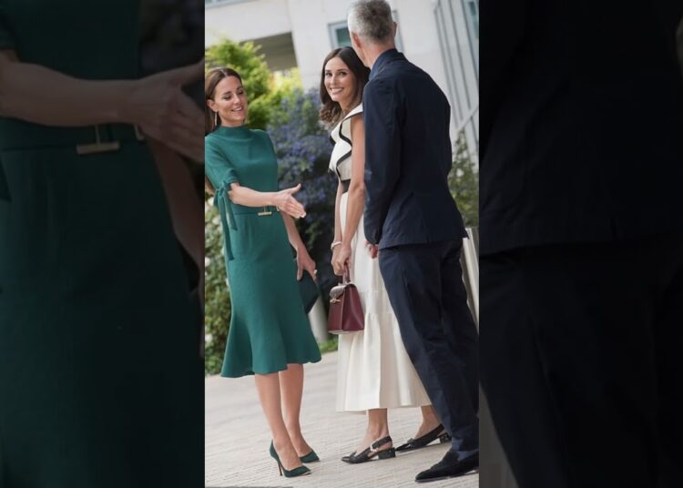 Kate’s Handshake with Royalty Left Everyone Speechless #royal #royalfamily #shorts
