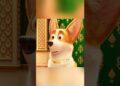 This dog had been treated as royalty since it was young.